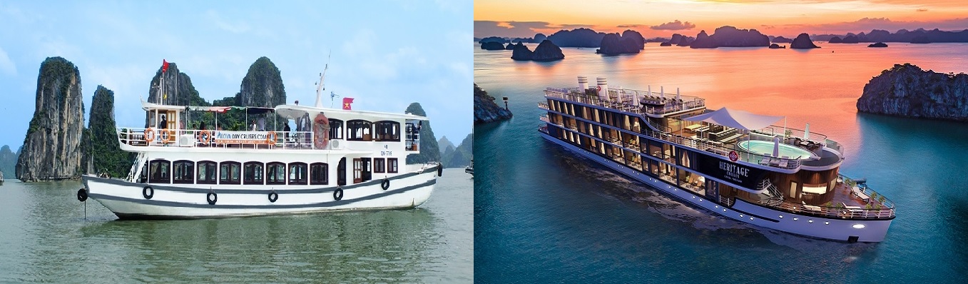 Distinguish between day cruises and overnight cruises